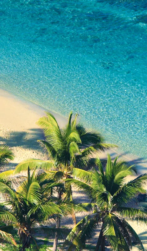Paysage plage île de La Réunion